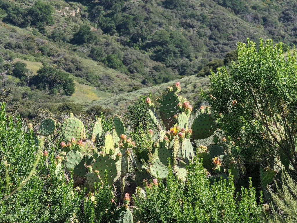 Top of the World | W Ridge, Laguna Beach, CA 92651, USA | Phone: (949) 923-2200