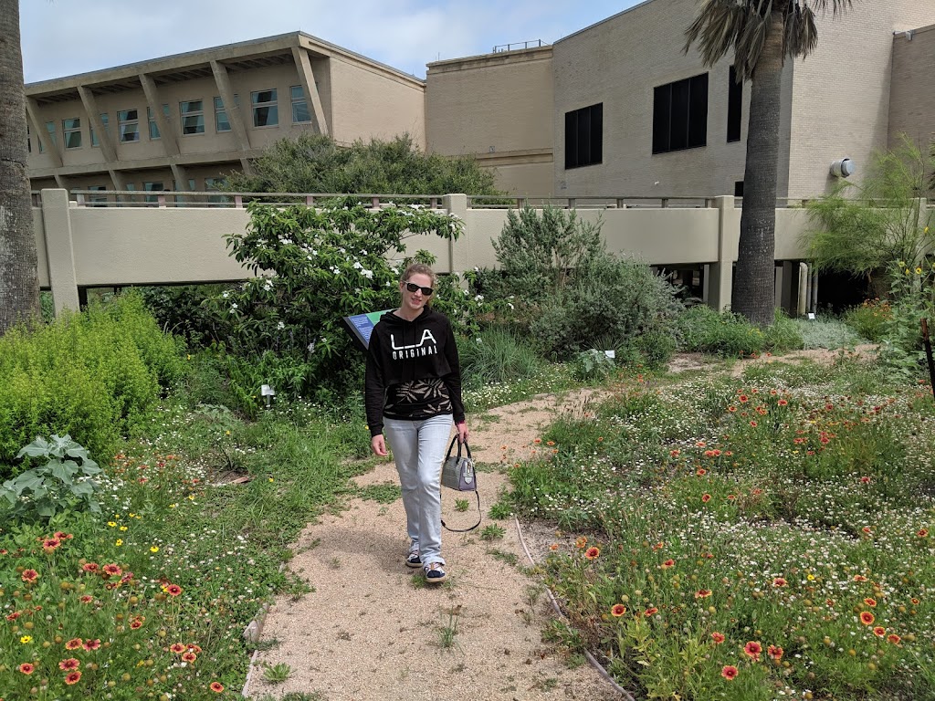 University of Texas, Marine Science Institute | 750 Channel View Dr, Port Aransas, TX 78373, USA | Phone: (361) 749-6711