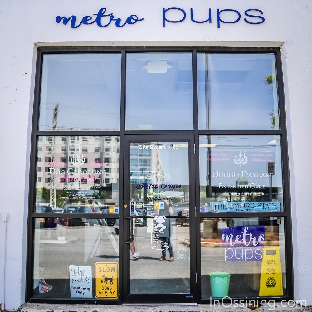 Metro Pups | 27A Main St, Ossining, NY 10562, USA | Phone: (914) 432-2565