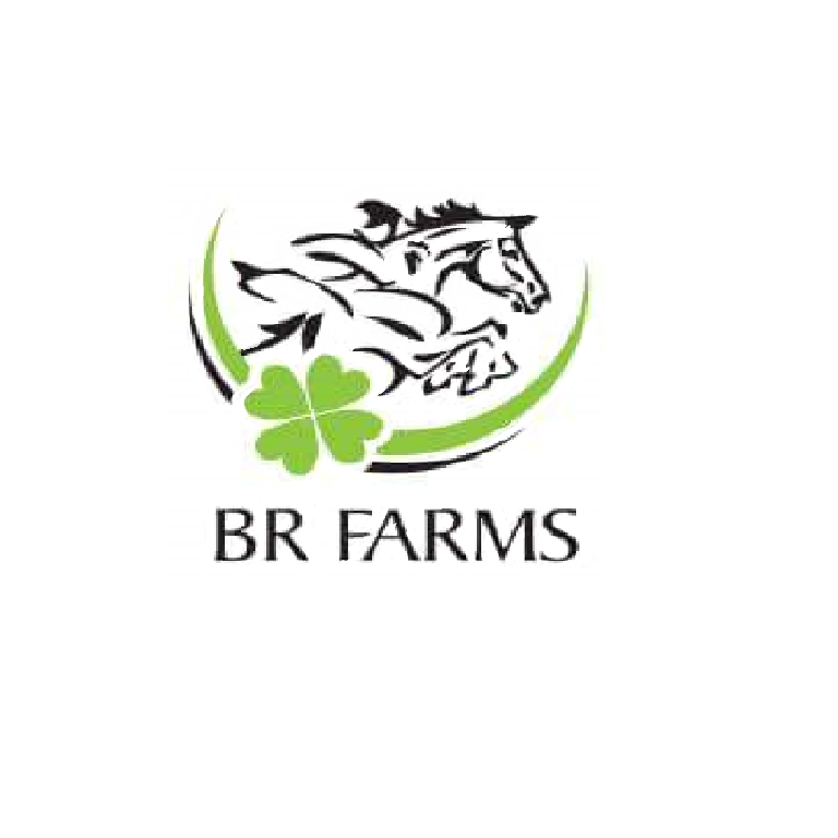 BR Farms | 105 Rocky Ridge Ln, Louisburg, NC 27549, USA | Phone: (919) 496-3783