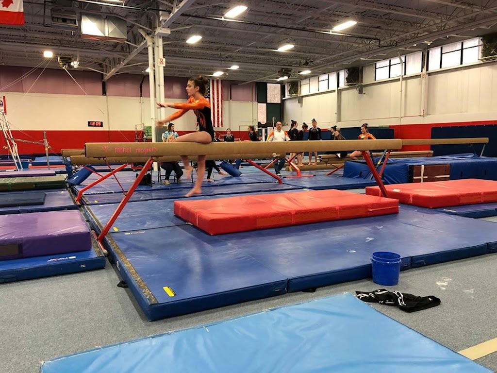 Gymnastics Central | 8485 Broadwell Rd, Cincinnati, OH 45244, USA | Phone: (513) 947-0540