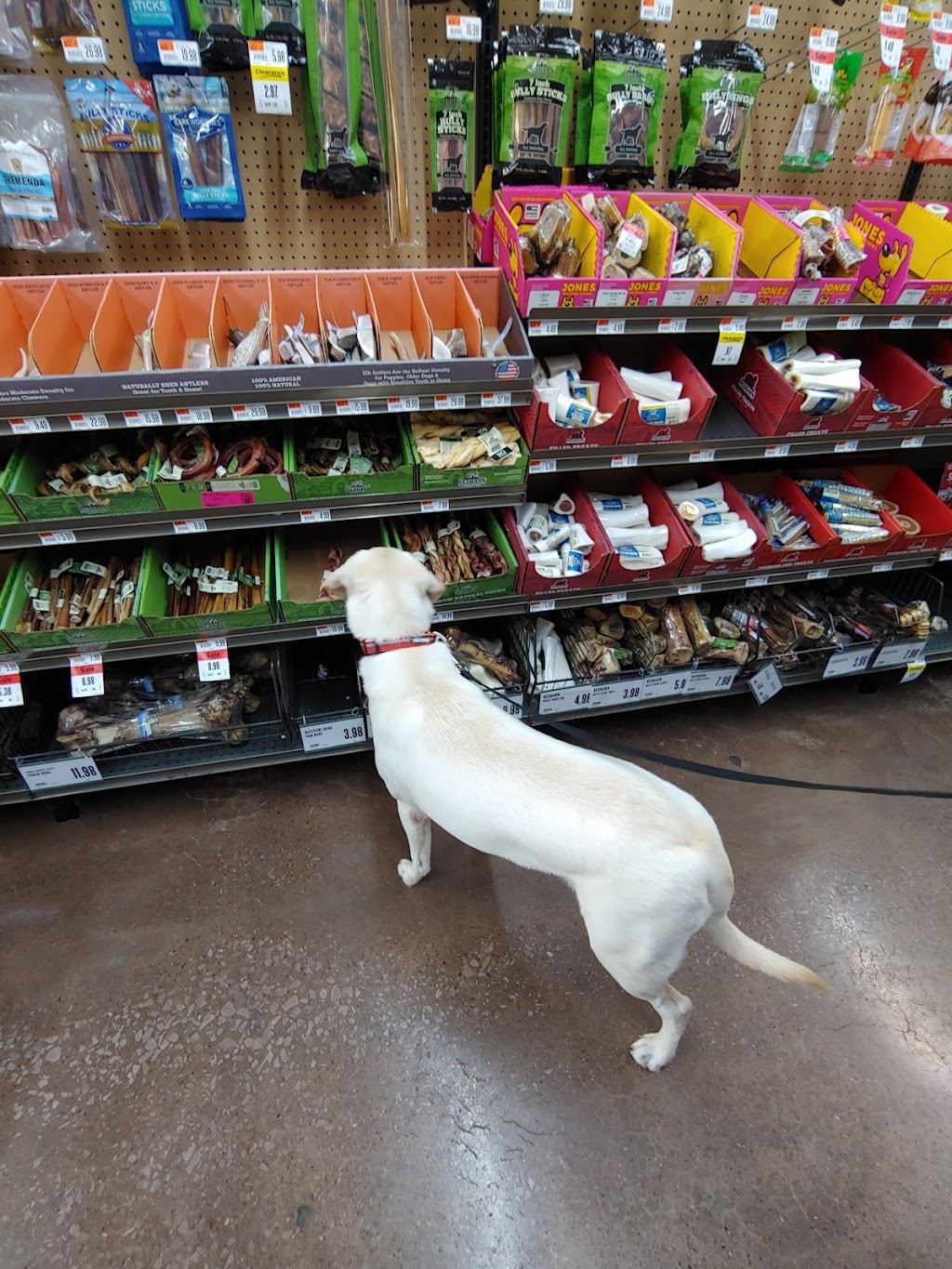 Pet Supplies Plus Carrollton | 1012 W Hebron Pkwy #120, Carrollton, TX 75010, USA | Phone: (214) 731-6554