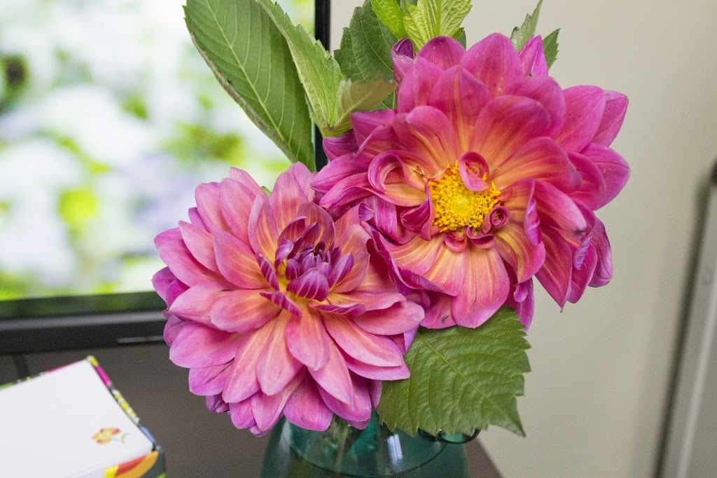 Viviano Flower Shop | 32050 Harper Ave, St Clair Shores, MI 48082, USA | Phone: (586) 293-0227
