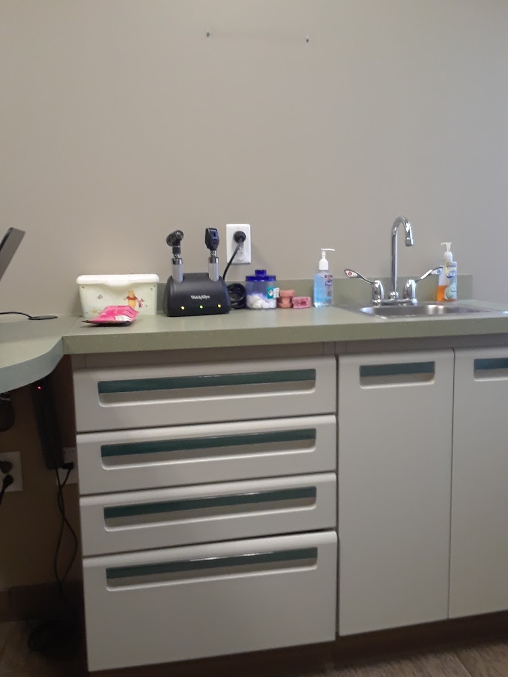 Town & Country Animal Clinic | 3000 Genesee St, Buffalo, NY 14225, USA | Phone: (716) 896-2424