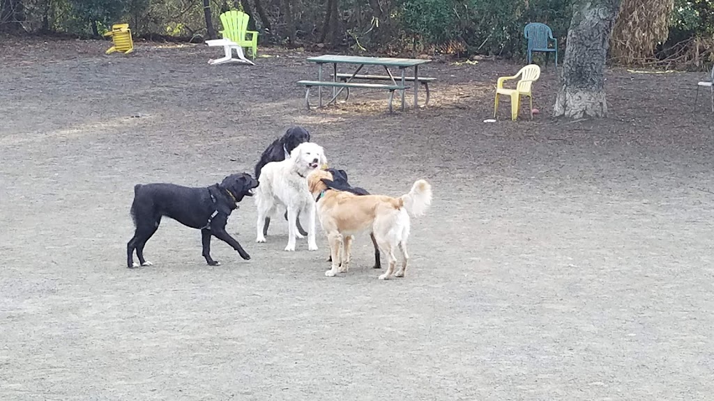 Earl Warren Dog Park | 4594 Paradise Knolls, Castro Valley, CA 94546, USA | Phone: (510) 881-6700