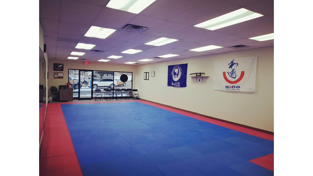 Karate Wado Kai Michigan | 45021 W Pontiac Trail, Novi, MI 48377, USA | Phone: (248) 722-9015