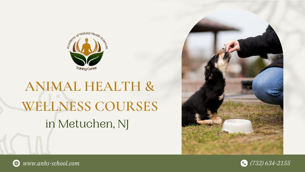 Academy of Natural Health Sciences Training Center | 167 Main St # 2A, Metuchen, NJ 08840, USA | Phone: (732) 634-2155