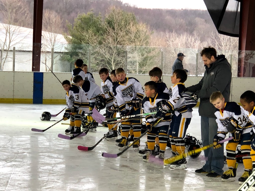 Brewster Ice Arena | 63 Fields Ln, Brewster, NY 10509, USA | Phone: (845) 279-2229