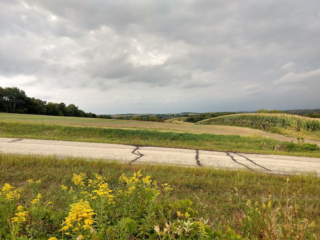 Liebetrau Prairie IAT Segment | 5521 Pine Rd, Cross Plains, WI 53528, USA | Phone: (608) 798-4453