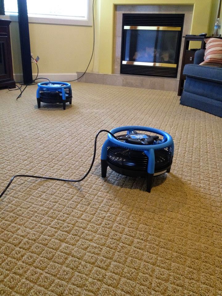 Platinum Professional Carpet Cleaning | 15521 WA-9 unit a, Snohomish, WA 98296, USA | Phone: (425) 337-7045