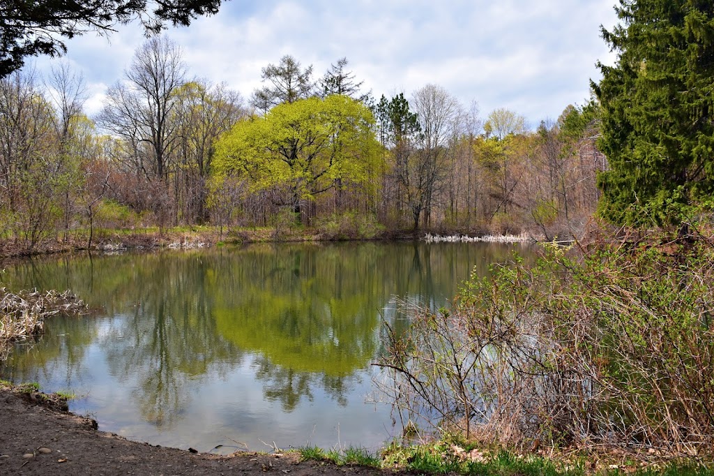 Holt Preserve | Upper Copeland Hill Rd, Selkirk, NY 12158, USA | Phone: (518) 436-6346