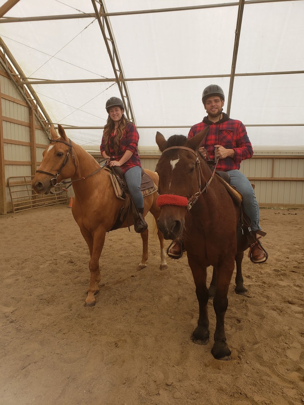 Solid Rock Therapeutic Riding Center | 10911 Market Ave NW, Uniontown, OH 44685, USA | Phone: (330) 990-1777