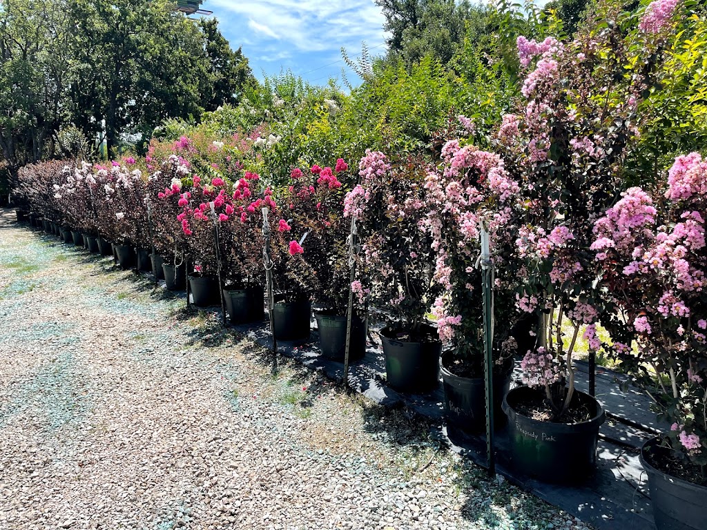 The Tree Place | 5625 I-20, Fort Worth, TX 76119, USA | Phone: (817) 561-9248