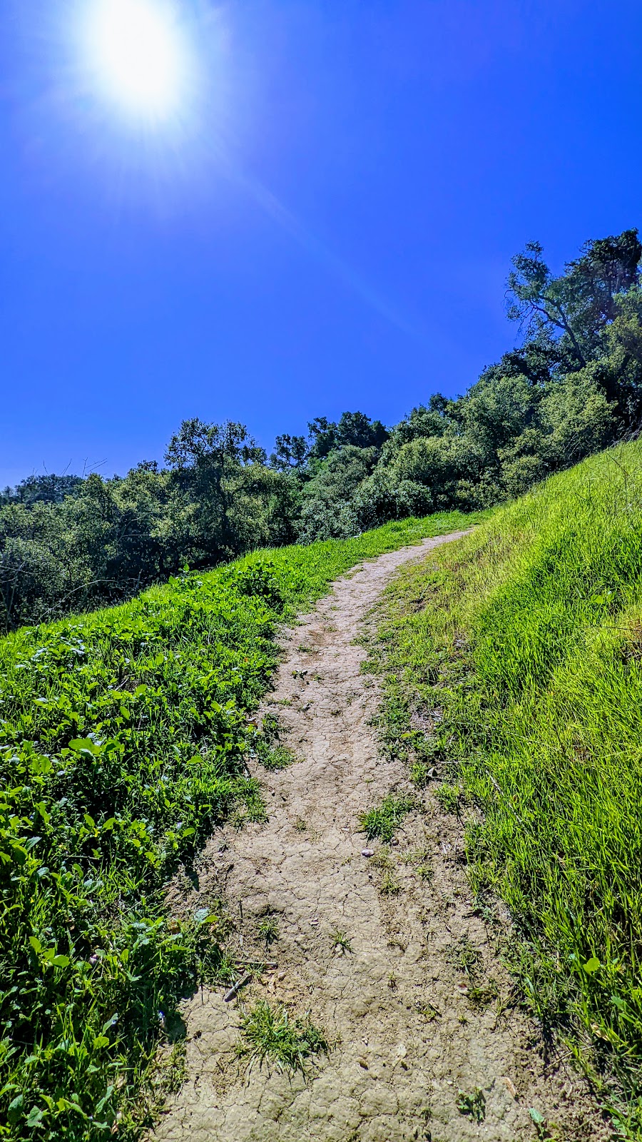 Grand Avenue Park Trailhead | Chino Hills, CA 91709, USA | Phone: (909) 364-2700