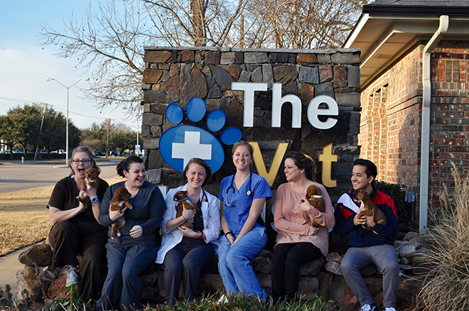 The Vet House | 1400 N Plano Rd, Richardson, TX 75081, USA | Phone: (972) 690-8741