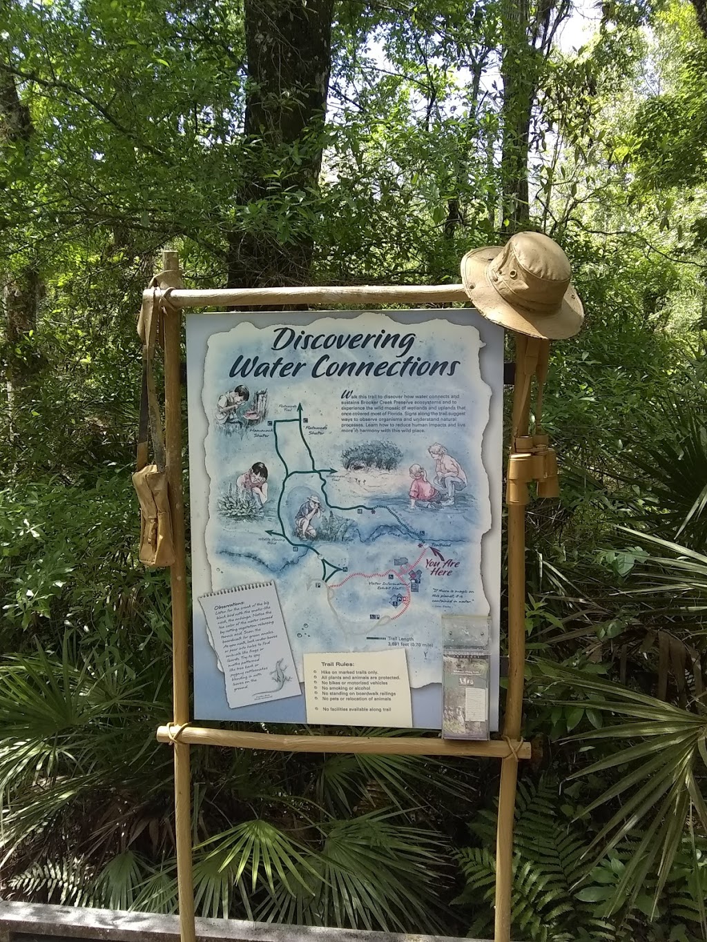 Brooker Creek Buffer Preserve | 18202 Patterson Rd, Odessa, FL 33556, USA | Phone: (813) 264-8513