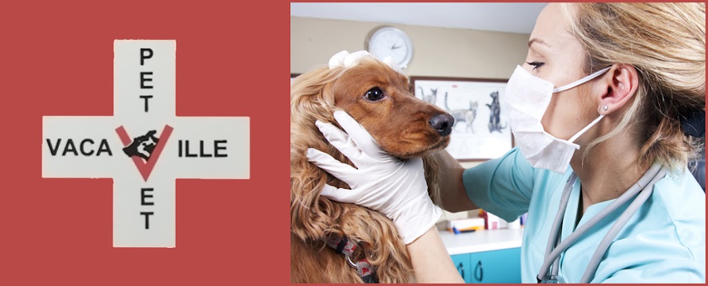 Vacaville Pet Vet Clinic, Inc. | 1909 Peabody Rd #1, Vacaville, CA 95687, USA | Phone: (707) 455-8383