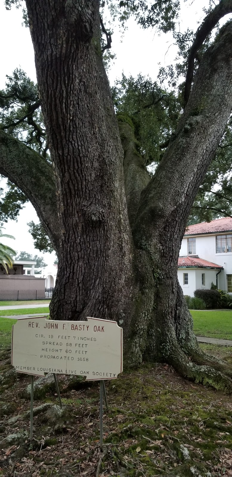 St. Charles Borromeo Catholic Church | 13396 River Rd, Destrehan, LA 70047, USA | Phone: (985) 764-6383