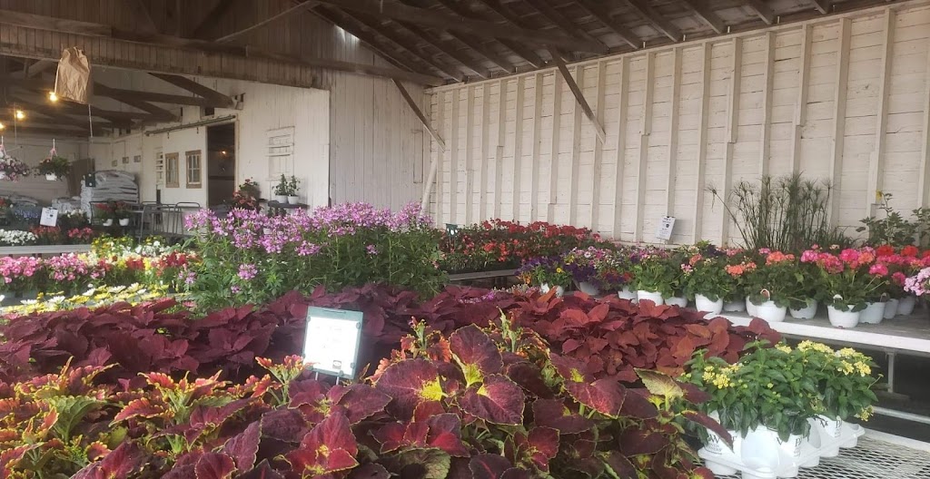 Regans Greenhouse at the Farm | Jefferson Township, OH 43160, USA | Phone: (740) 505-7441