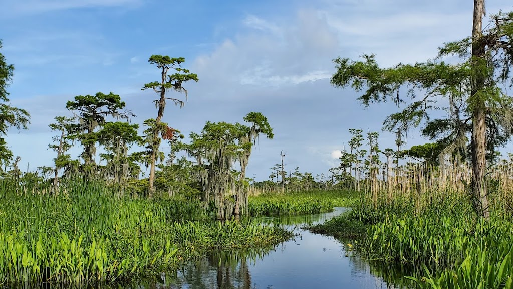 Cajun Style Swamp Tours | 9706 Barataria Blvd, Marrero, LA 70072 | Phone: (504) 628-8848