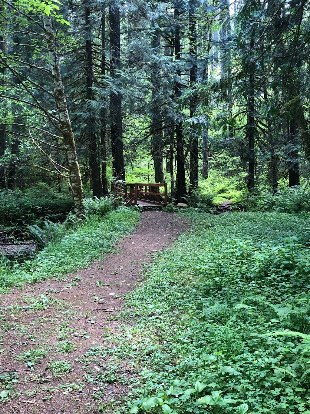 Camp Wilkerson Park | 65866 Apiary-Market Rd, Rainier, OR 97048, USA | Phone: (503) 556-3536