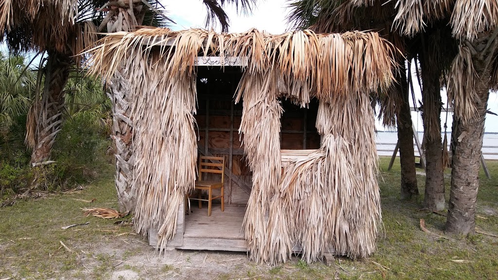 Rotary Centennial Nature Center at Honeymoon Island State Park | 1 Causeway Blvd, Dunedin, FL 34698, USA | Phone: (727) 241-6102