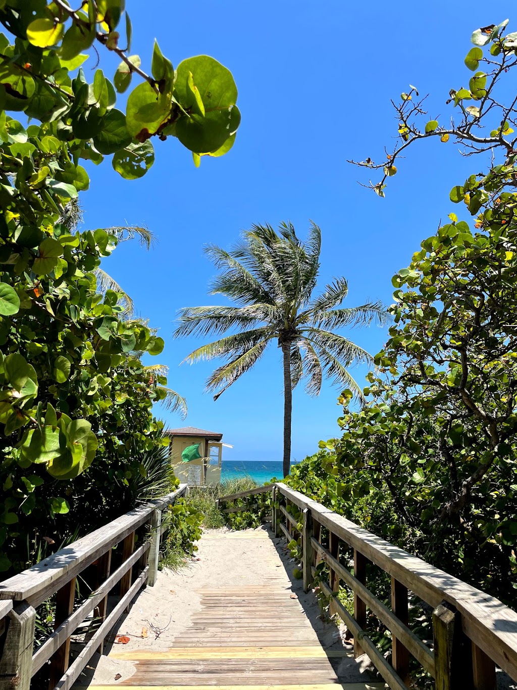 Hawksbill Pocket Park | 5200 N Ocean Dr, Hollywood, FL 33019, USA | Phone: (954) 357-5161