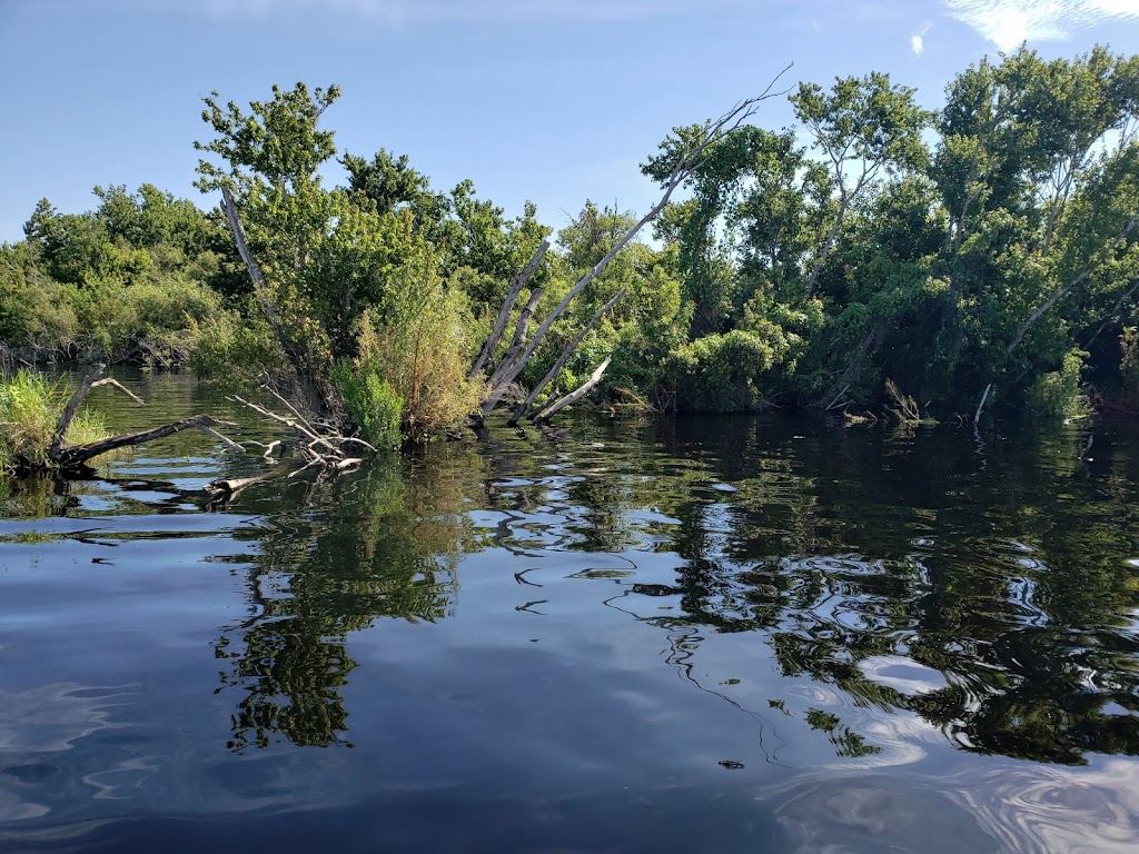 Grasshopper Airboat Eco-Tours | 8190 W King St, Cocoa, FL 32926, USA | Phone: (321) 631-2990