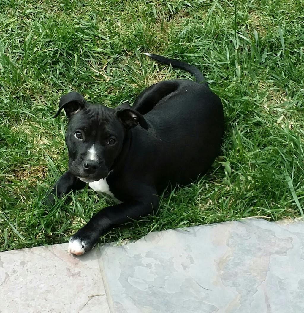 Countrystone Park | 5209 Whitestone Dr, Salida, CA 95368, USA | Phone: (209) 525-6750