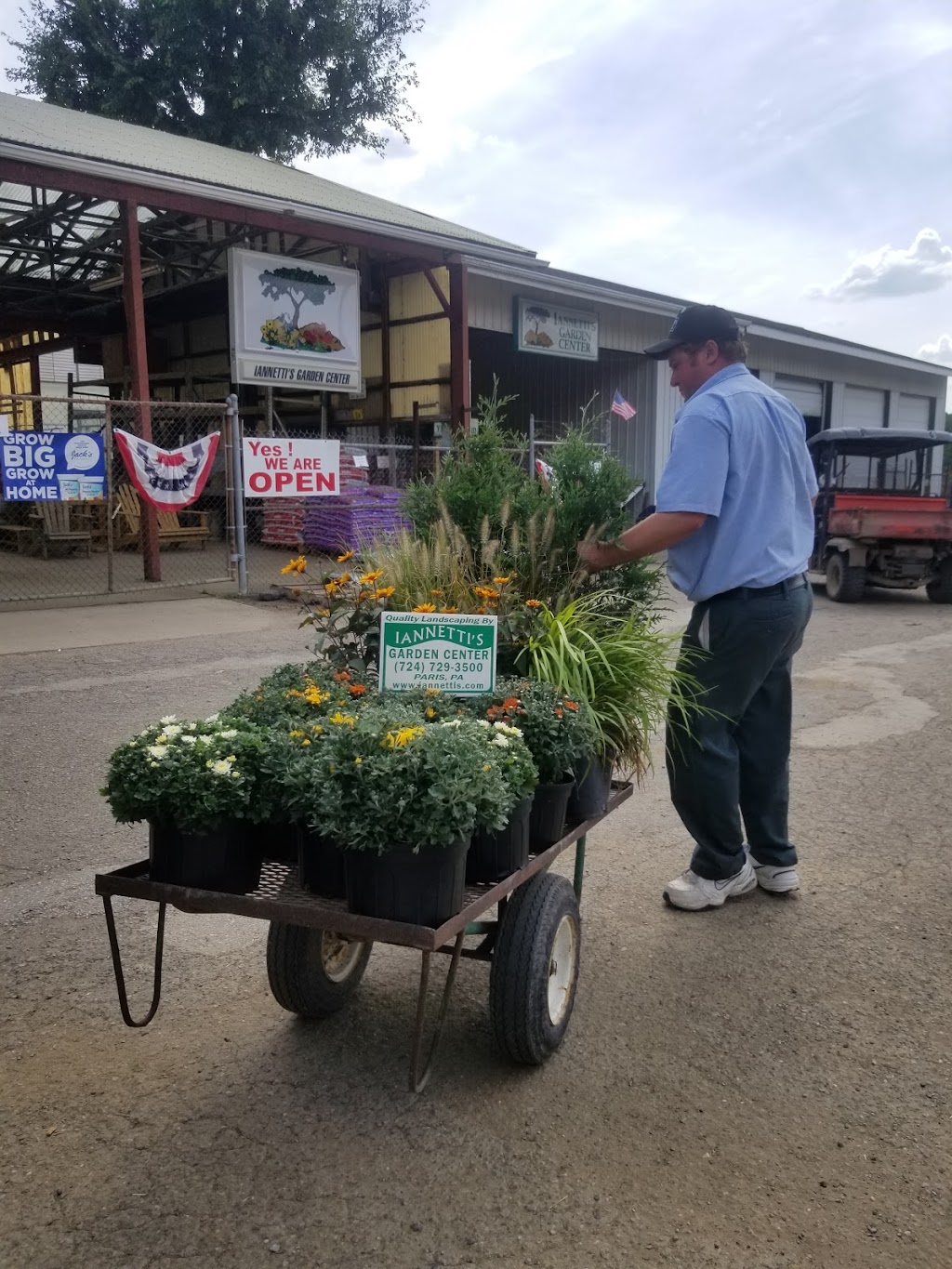 Iannettis Garden Center | 728 Steubenville Pike, Burgettstown, PA 15021, USA | Phone: (724) 729-3500