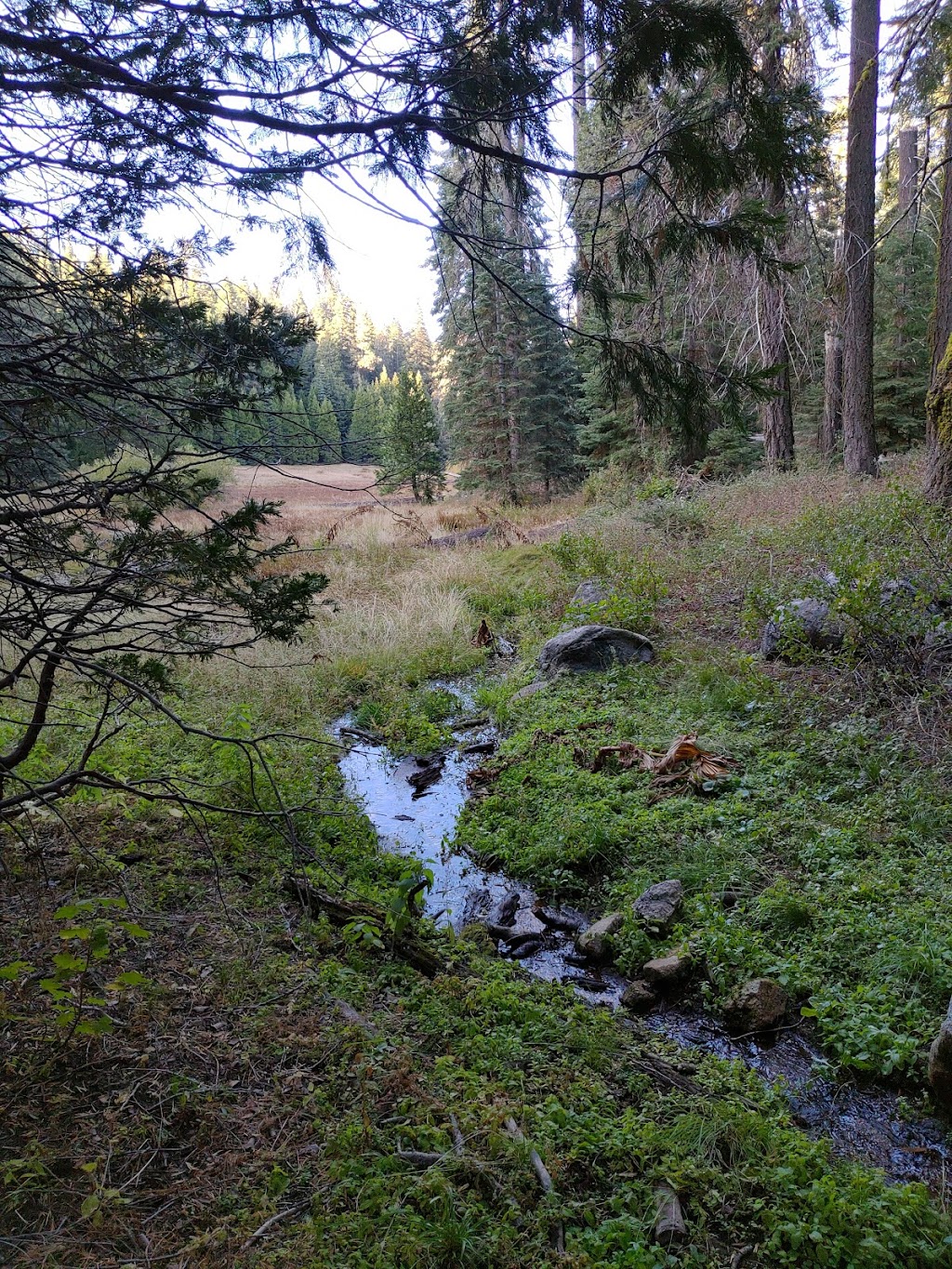 Holey Meadow (recgovnpsdata) | Camp Nelson, CA 93208, USA | Phone: (559) 539-5230