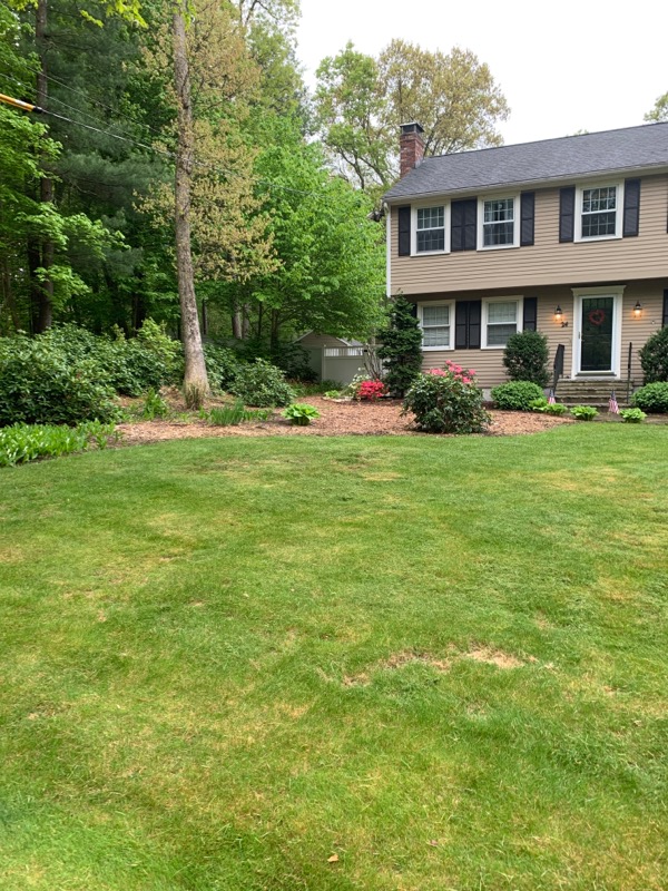 New England Services & Lawncare | 602 Old Bridge Ln, Bellingham, MA 02019, USA | Phone: (508) 726-2056