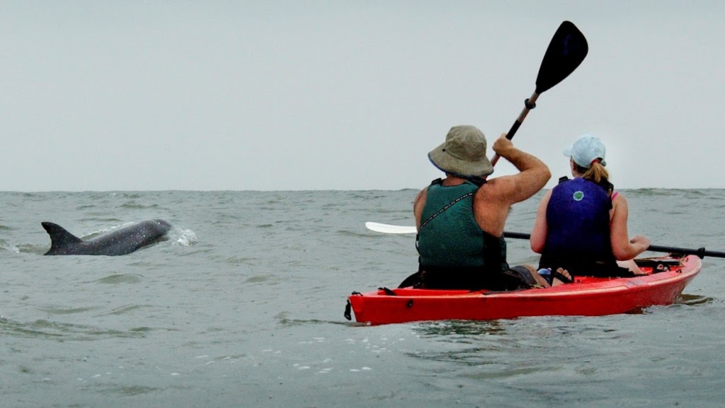 Kayak Nature Tours, Ltd | 89th St, Virginia Beach, VA 23451, USA | Phone: (757) 480-1999