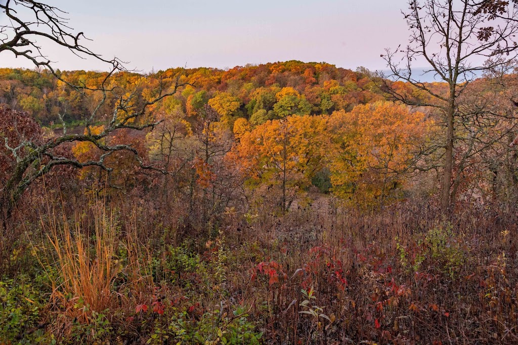 Cross Plains State Park | Cross Plains, WI 53528, USA | Phone: (608) 831-3005