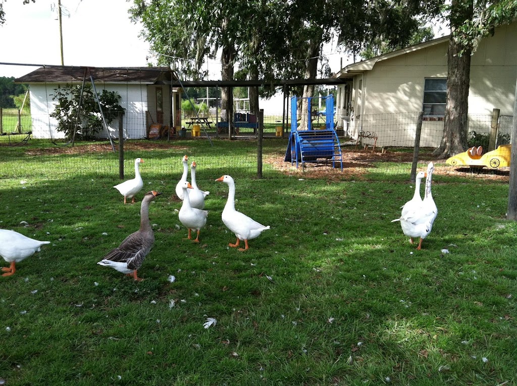 The Childrens Farm | 7536 SE 11th Ave, Starke, FL 32091 | Phone: (352) 473-7031