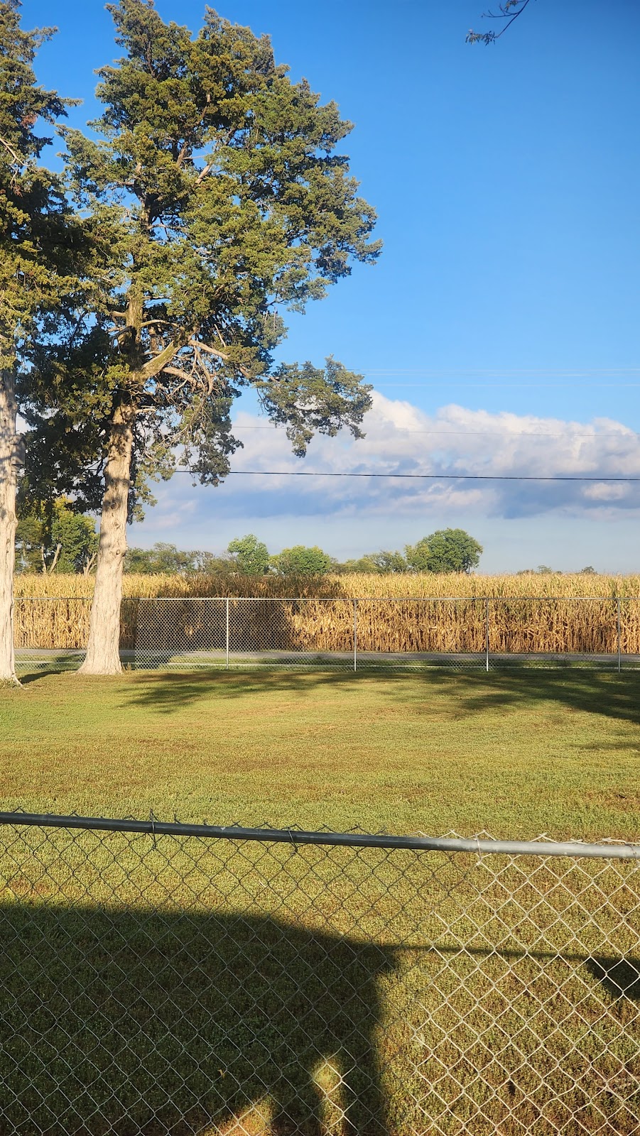 Columbus Bark Park | 5692-5794 Monastery Rd, Columbus, NE 68601, USA | Phone: (402) 562-4234