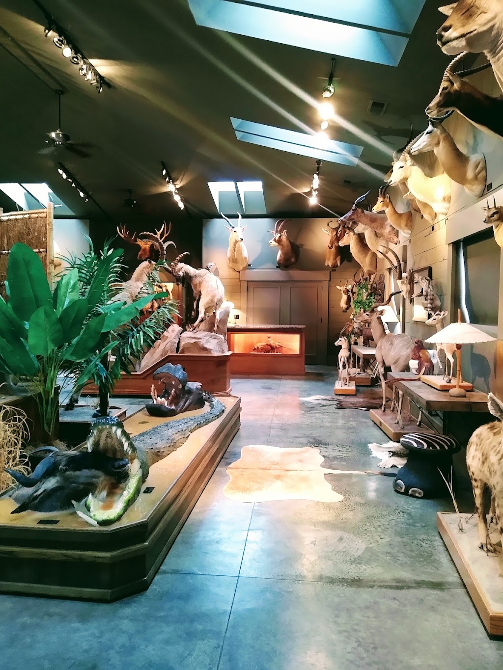 Wendel Museum of Animal Conservation | 8303 SE Evergreen Hwy, Vancouver, WA 98664, USA | Phone: (360) 241-9646