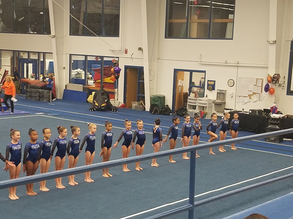 Roswell Gymnastics | 10495 Woodstock Rd, Roswell, GA 30075, USA | Phone: (770) 641-3987