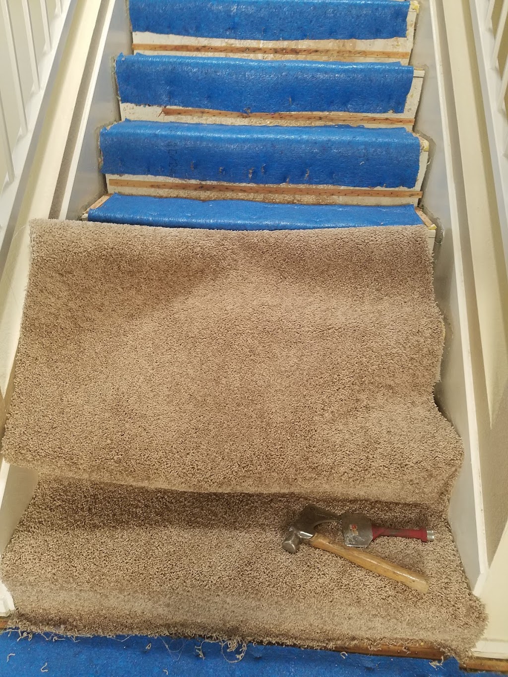 Castillos Carpet Cleaning & Pro Steamers | 5900 W Tropicana Ave, Las Vegas, NV 89103, USA | Phone: (702) 517-6999