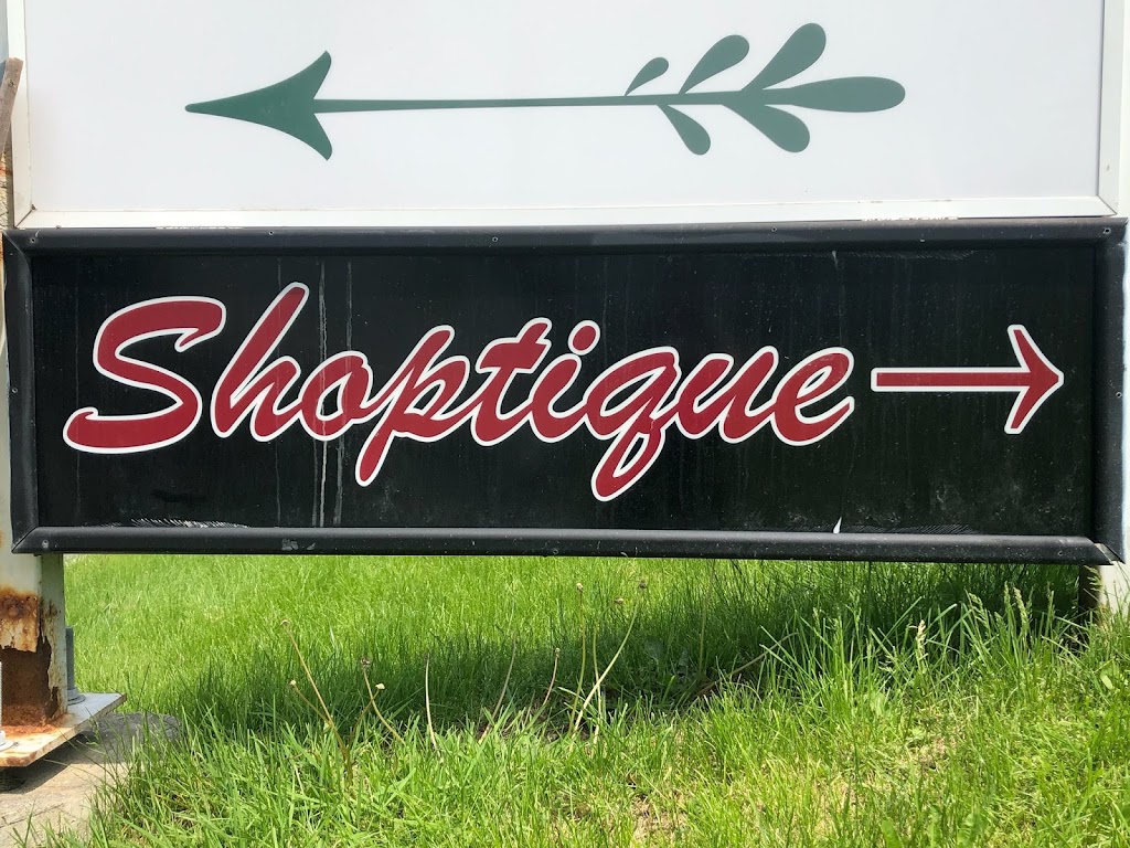 Shoptique Vintage | 218 NJ-94, Vernon Township, NJ 07462, USA | Phone: (845) 527-4907