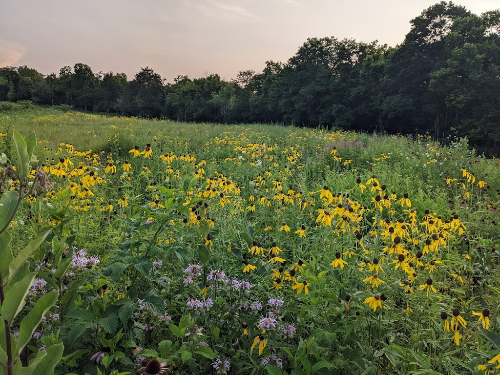 Raven Run Nature Sanctuary | 3885 Raven Run Wy, Lexington, KY 40515, USA | Phone: (859) 272-6105