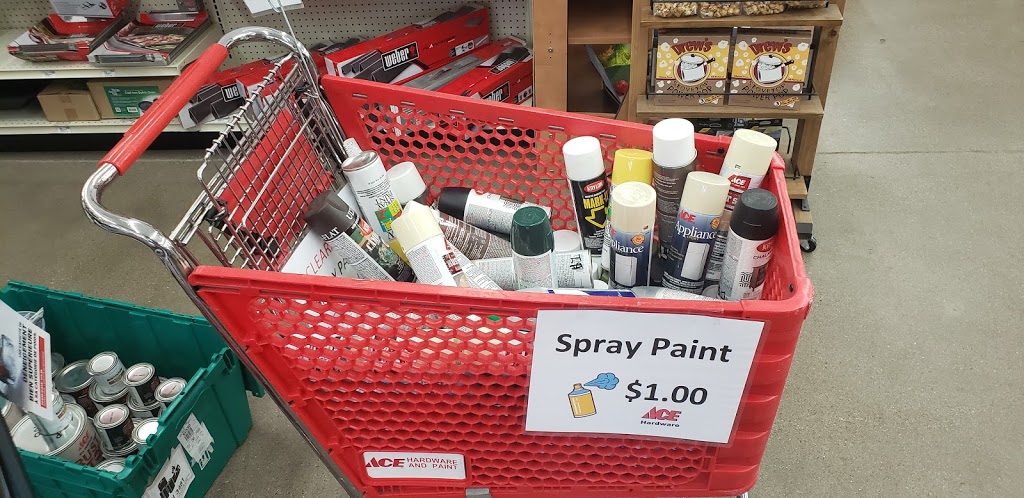 Ace Hardware & Paint | 108 W 98th St, Bloomington, MN 55420, USA | Phone: (952) 767-2981