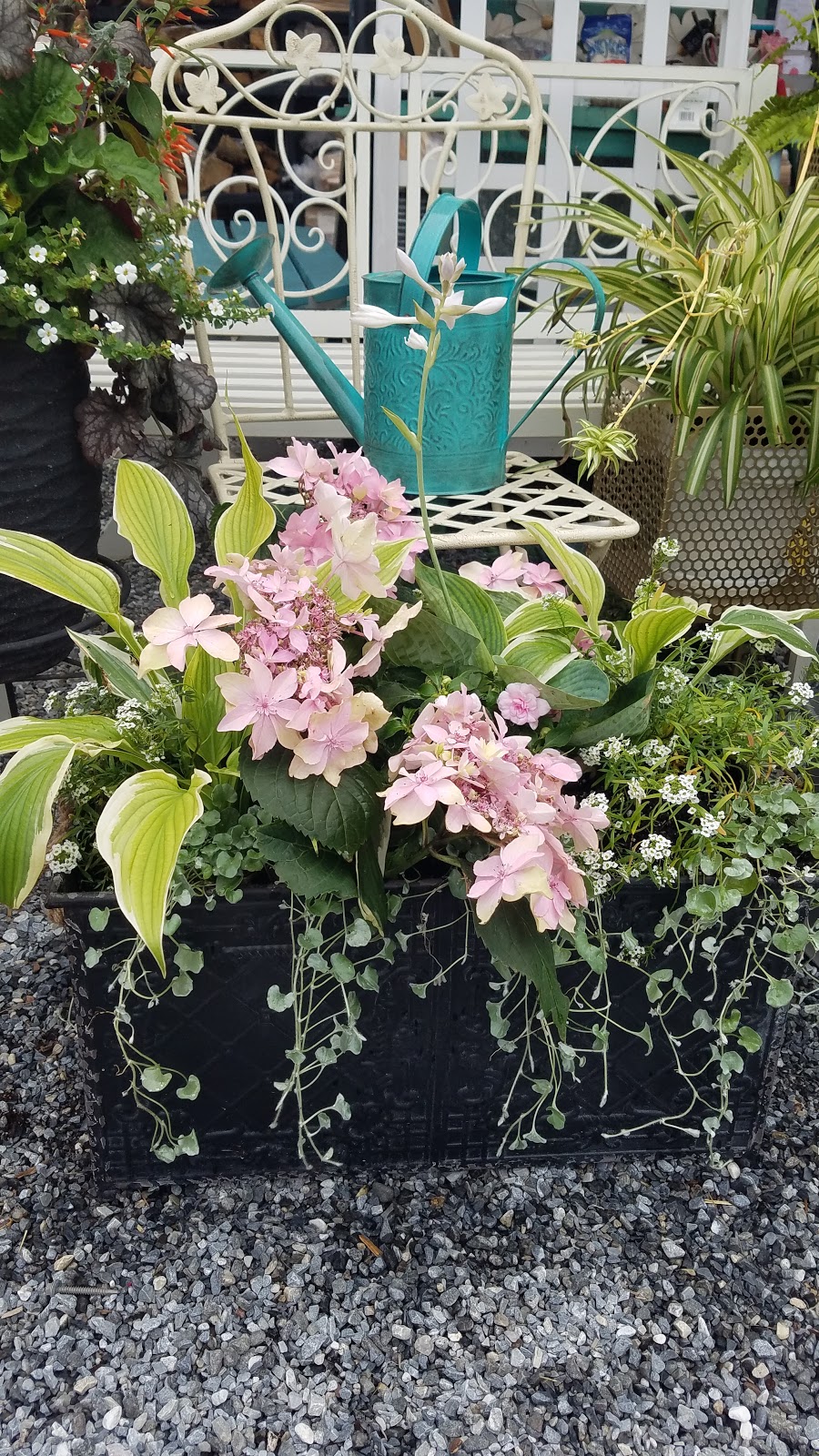 Posh Plantings | At Ace Hardware, 720 Strasburg Rd of, West Chester, PA 19380, USA | Phone: (484) 318-5992