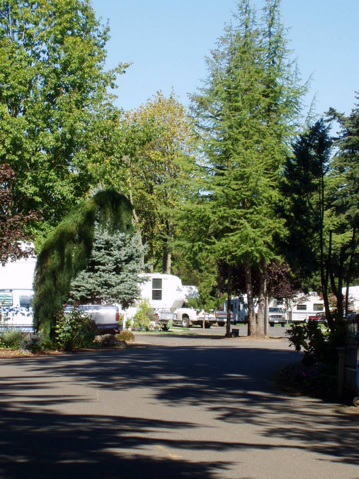 Aurora Acres RV Park | 21599 Dolores Way NE, Aurora, OR 97002, USA | Phone: (503) 610-4443