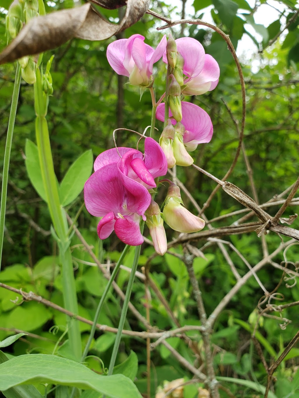 Sauk Creek Nature Preserve | 3236 Co Rd KK, Port Washington, WI 53070, USA | Phone: (262) 338-1794