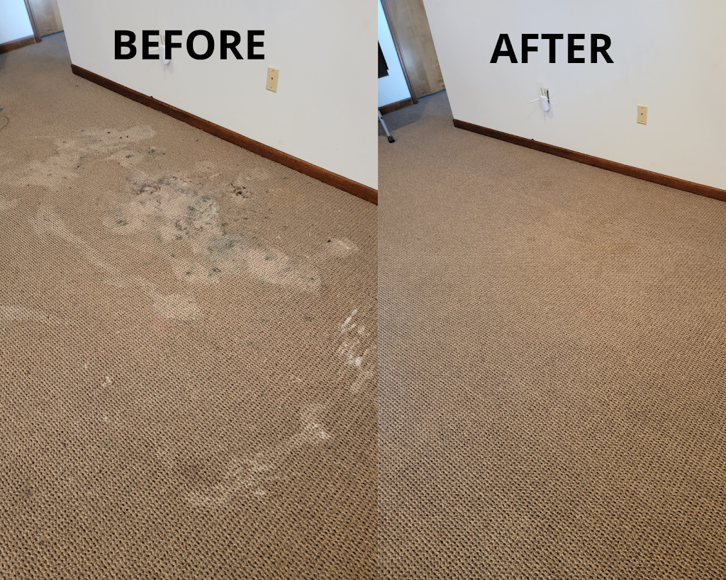 SaulClean - Carpet & Rug Dyeing | 1302 Lyons Rd, Centerville, OH 45458, USA | Phone: (937) 903-2123