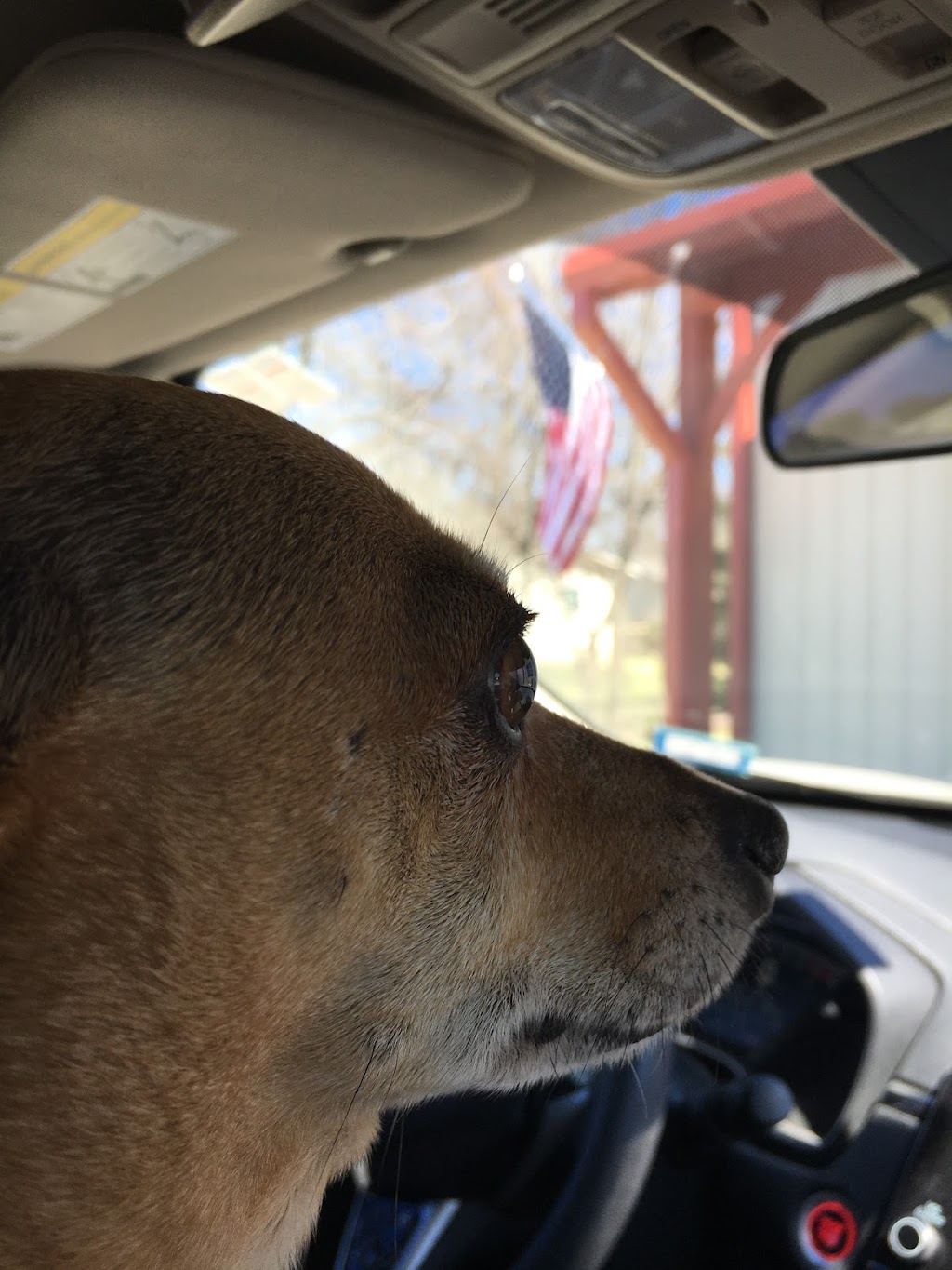 Butchermans Gourmet sausage | 5337 FM 2642, Royse City, TX 75189, USA | Phone: (469) 673-9433