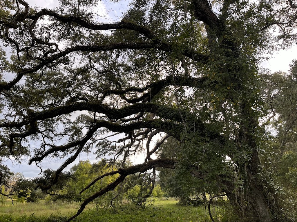 Homebound RV Parks | 4602 Co Rd 673 #1554, Bushnell, FL 33513, USA | Phone: (352) 793-1333