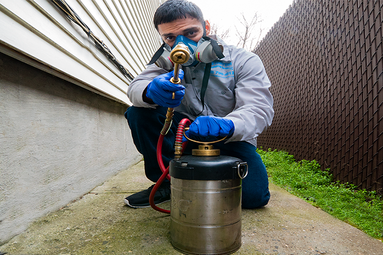 Wharton Exterminating Services | 118-34 204th St, Queens, NY 11412, USA | Phone: (917) 960-7772