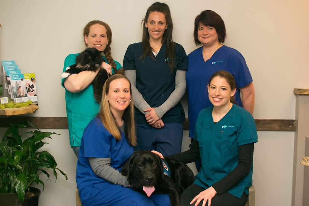 Coastal Virginia Veterinary Dermatology | 3296 Dam Neck Rd, Virginia Beach, VA 23453, USA | Phone: (757) 866-2320